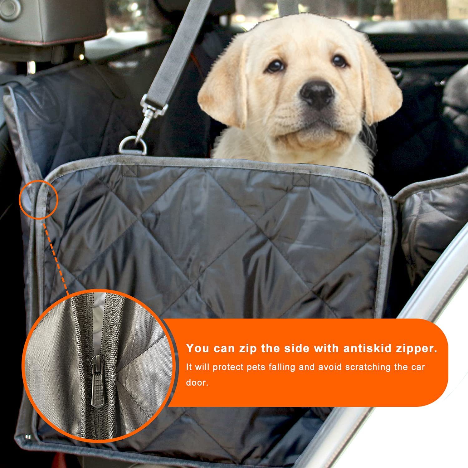 dog mat