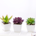 Artificial Plant Fleshy Mini Artificial Flower Decoration Bonsai Fake Green Vegetation Flower Small Pot Plant