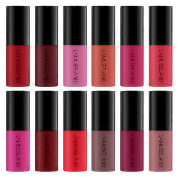 12 Colors Long Lasting Sample Matte Lipstick Liquid Lip Gloss Beauty Make Up Waterproof Non-stick Cup Liquid Lipstick MakeupTSLM