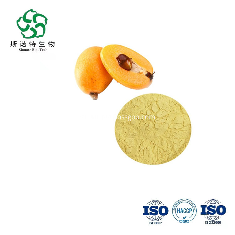 Loquat Powder
