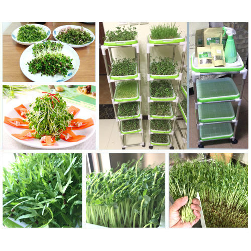 Indoor seedling frame with seedling trays Manufacturers and Indoor seedling frame with seedling trays Suppliers