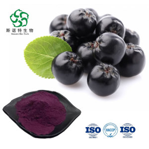 Natural Black Chokeberry Extract Powder With Anthoc Yanidins