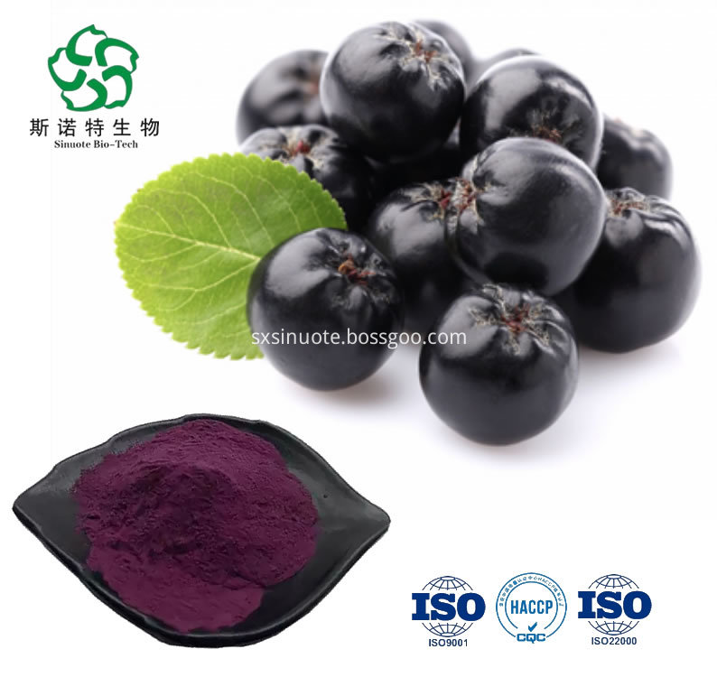 Black Chokeberry Extract