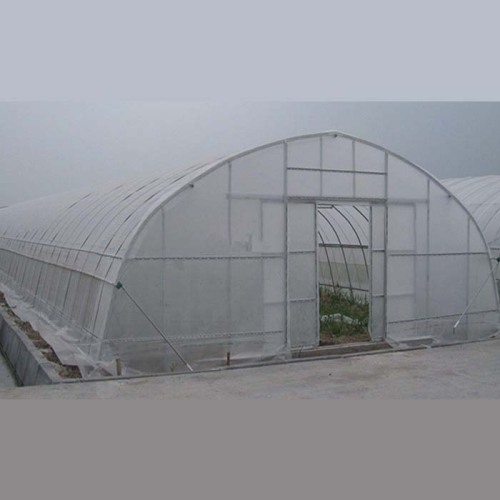 Single Span Tunnel Film Greenhouse Manufacturers and Single Span Tunnel Film Greenhouse Suppliers