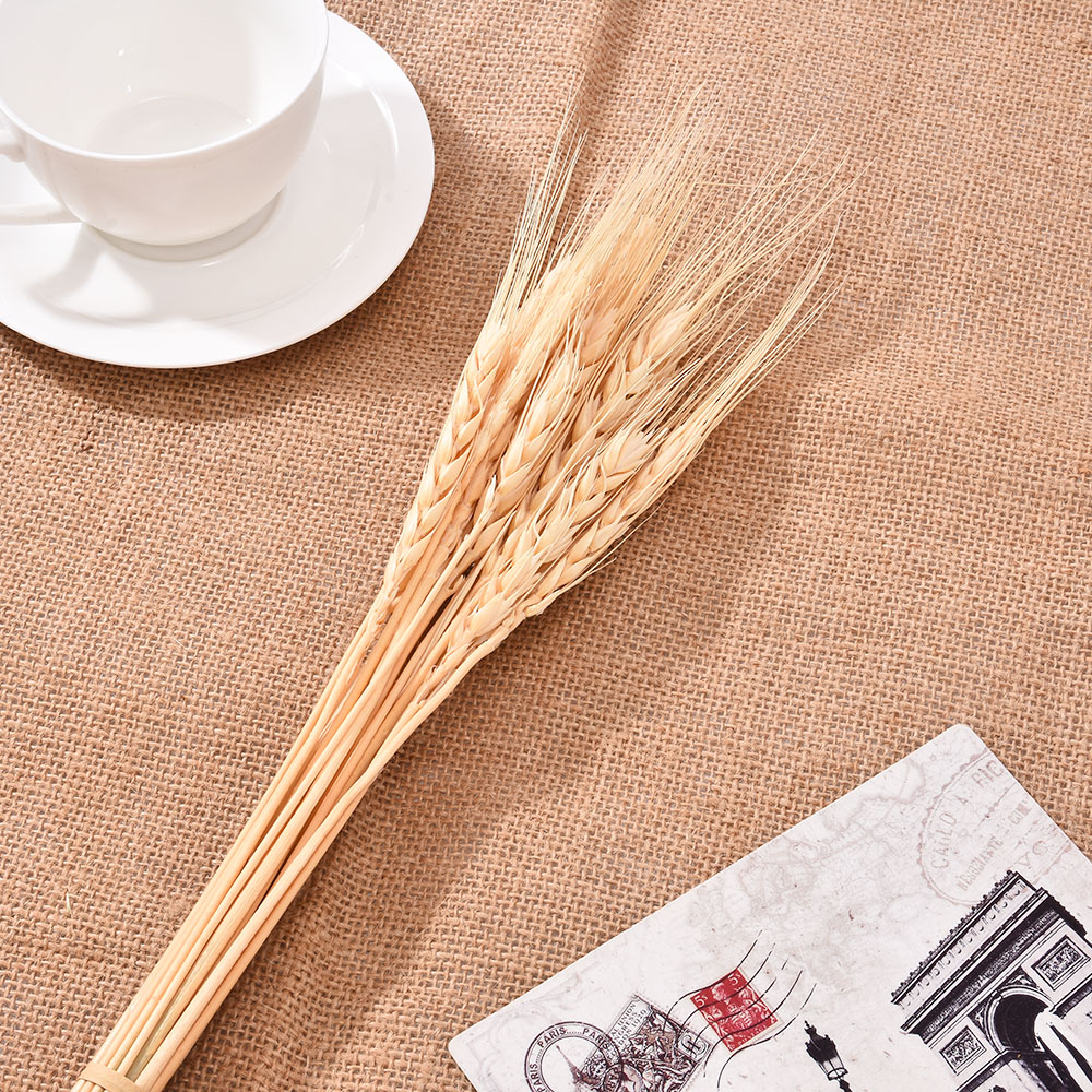 20Pcs/lot Real Wheat Ear Flower Natural Dried Flowers For Wedding Party Decoration DIY Craft Scrapbook Home Decor Wheat Bouquet