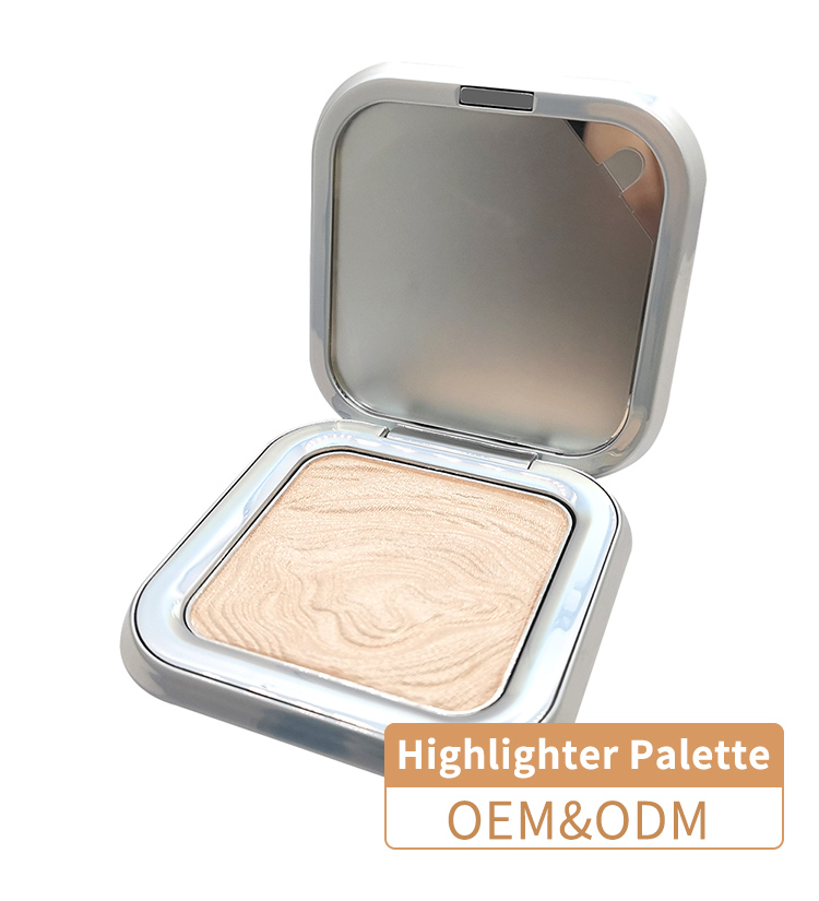 High Gloss Powder Makeup Concealer Palette