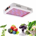 New Upgrade 1000W LED Grow Light Dual Switch