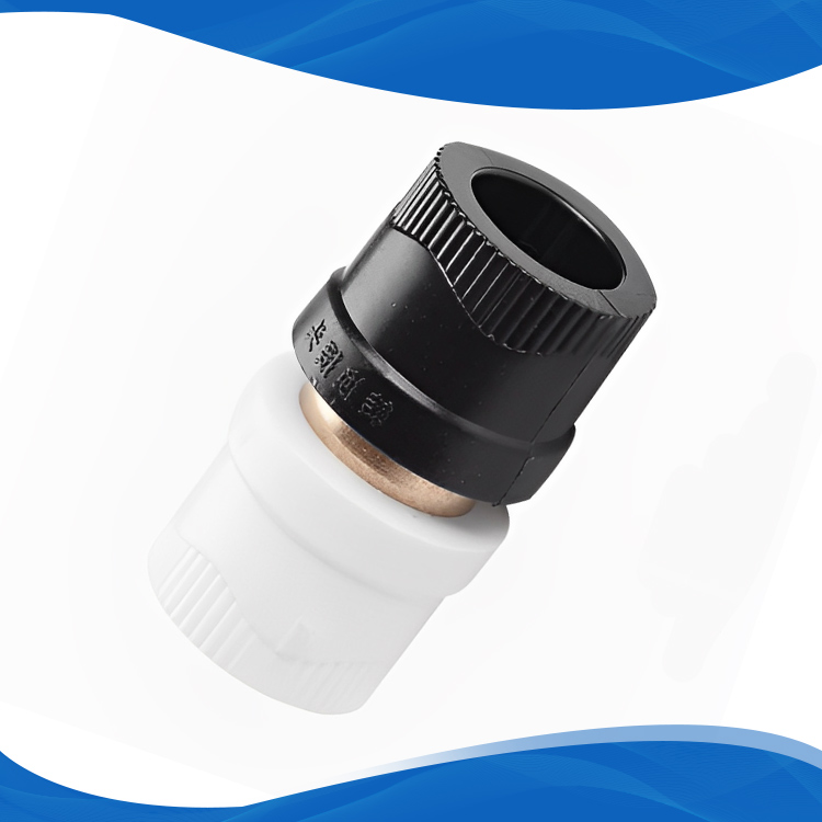 Hdpe To Ppr Adapters