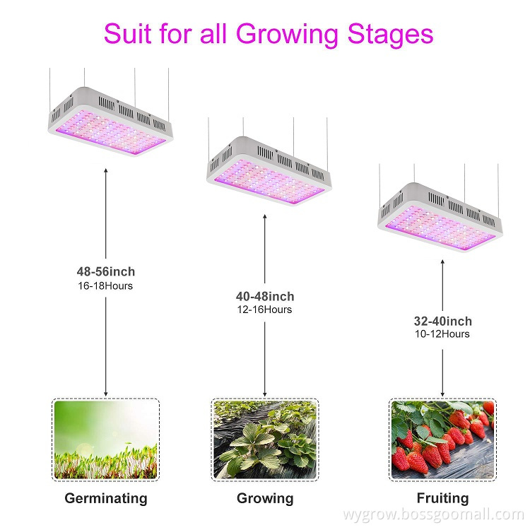 1200W LED Grow Lights For Indoor Plants