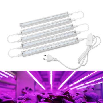 Phytolamps Full Spectrum LED Grow light T5 Tube Bulb Seedling lamp For Plants Vegetable Flower Seeds Grow Tent Box lighting