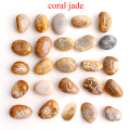 25pcs coral jade