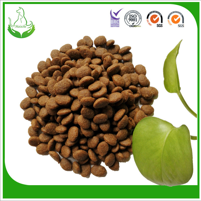 high protein premium wholesale dry dog food China Manufacturer