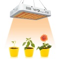 Shenzhen Top sales SMD 1000w LED Grow Lights