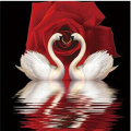 Full Square/Round Drill 5D DIY Diamond Painting Cross Stitch "Swan Rose" 3D Embroidery Mosaic Home Decor Gifts HCR