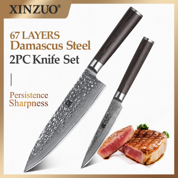 XINZUO 2 PCS Kitchen Knife Sets Japanese Damascus Steel Kitchen Knife Pro Chef Paring Knives for Vegetables Pakka Wood Handle