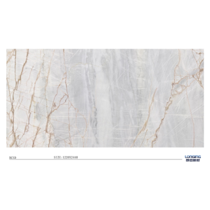 Light Porcelain wall Panel For House