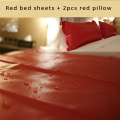 Red sheet 2 pillow