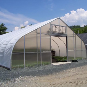 Multi-span plastic film Greenhouse tomato greenhouse