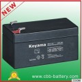 https://www.bossgoo.com/product-detail/koyama-12v1-3ah-valve-regulated-lead-48154482.html