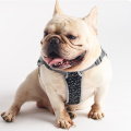Nylon Reflective Name Harness Vest Strap Small Medium Large Dog Personalized Harness Outside Anti-strike Pet Harness Leash Set