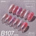 B107