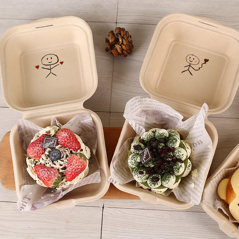 Lunch Box Cake Case Packing Box Doggy Box Disposable Biodegradable Restaurant Takeaway Box Hand-paint Container Mini Bento 25pcs