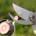 Pruner Tree Cutter Gardening Pruning Shear Scissor Stainless Steel Cutting Home Tools Anti-slip