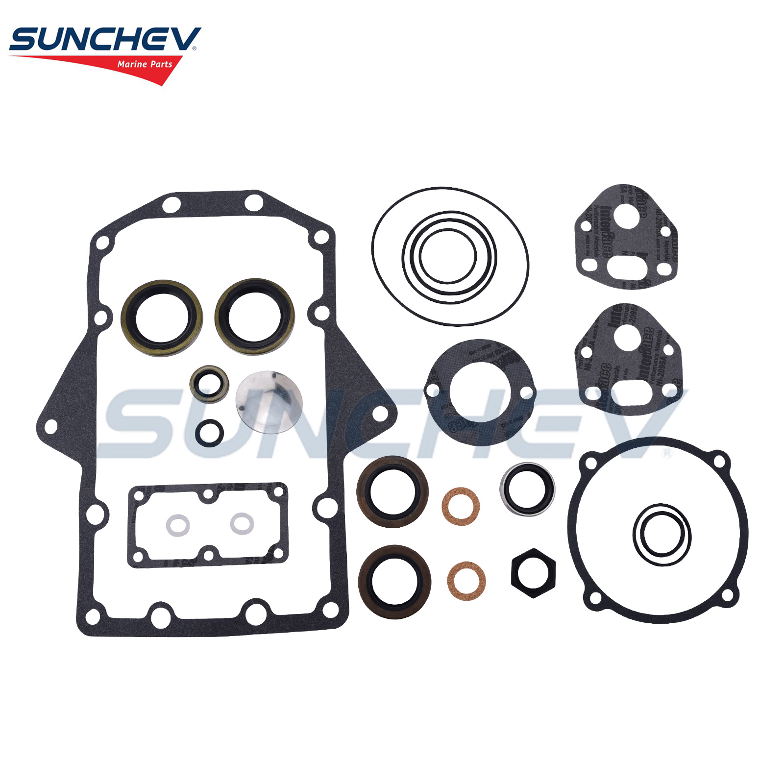 981801 Lower Unit Gasket Kit