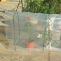 1m Width:2m~12m 0.08mm Reinforced PE Greenhouse Film Garden Vegetable Plant Cover Rain-proof Keep Warm Transparent Film
