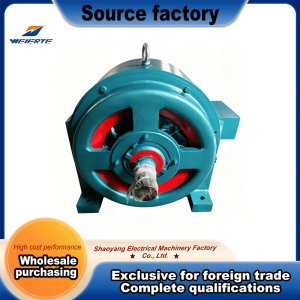 Wide Voltage Range Horizontal Water Turbine Generator