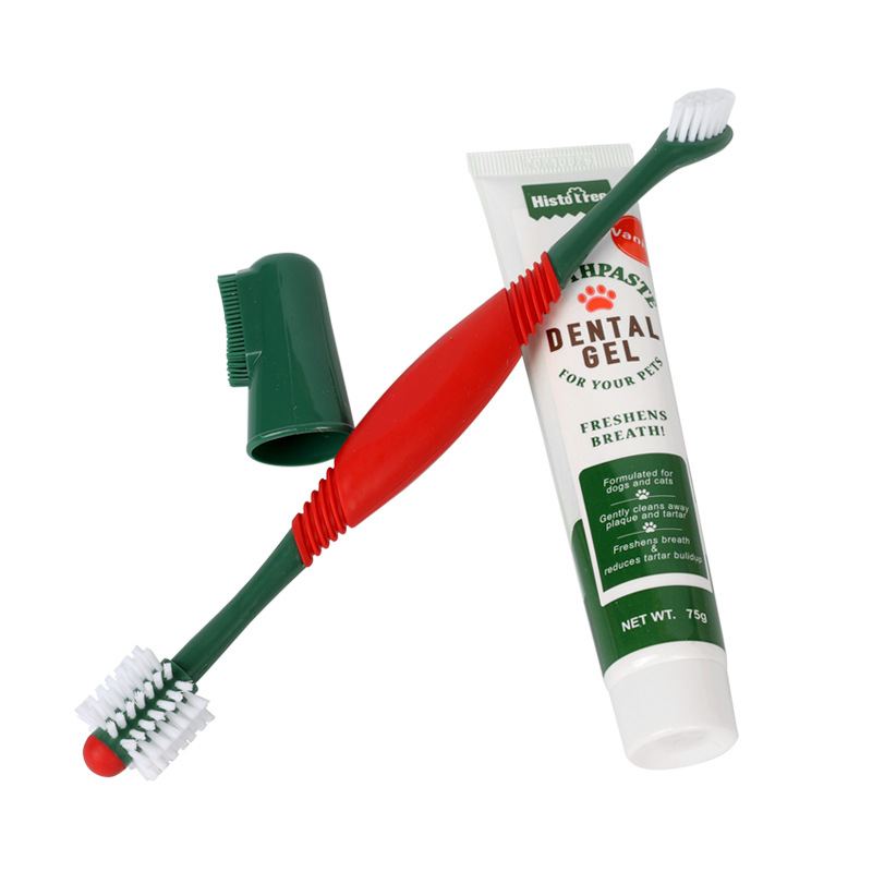 Pet Toothbrush Toothpaste Set