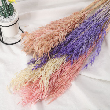 A Bunch Wheat Flower Decoration Natural Pampas Rabbit Tail Grass Dried Flowers for Wedding Party DIY Craft Scrapbook Bouquet