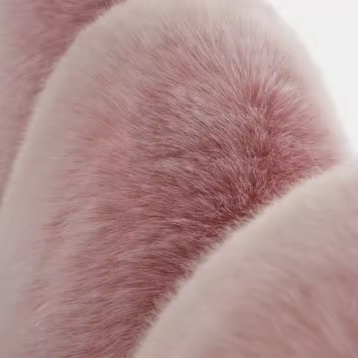 BED (2)