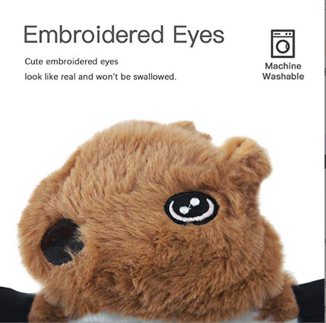 Eye Png