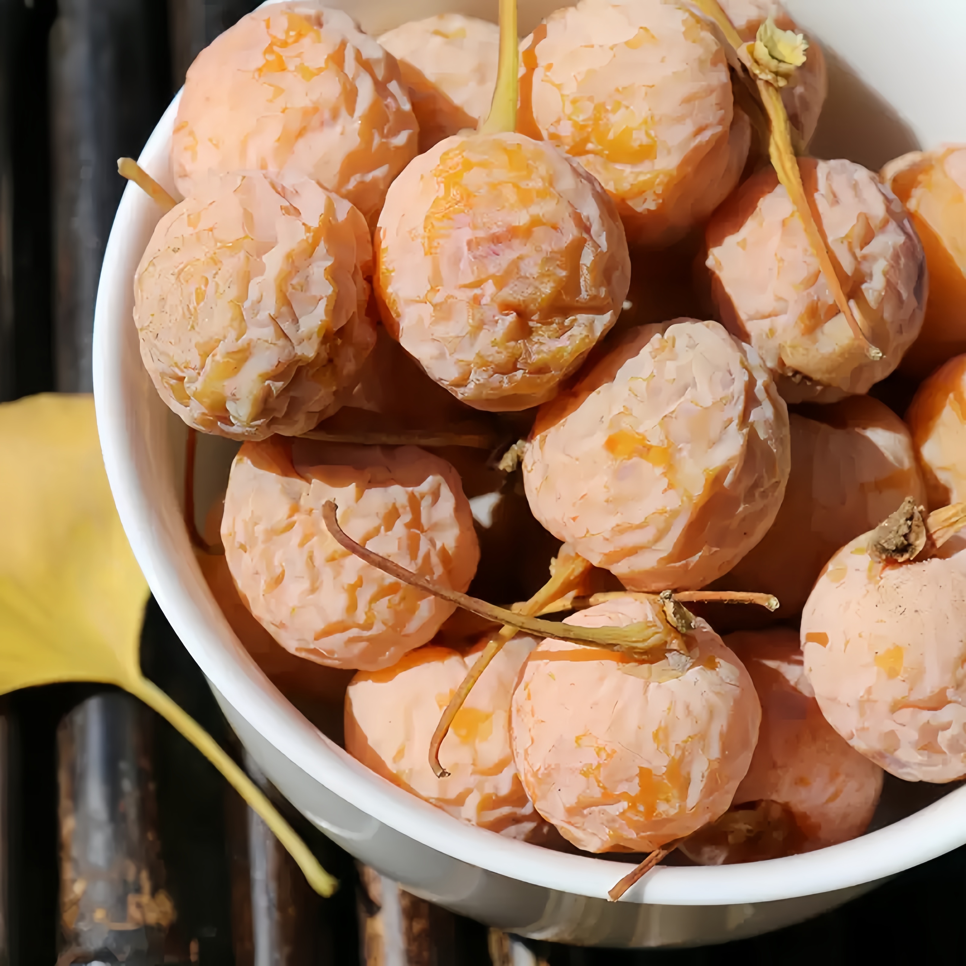 Ginkgo Seed5