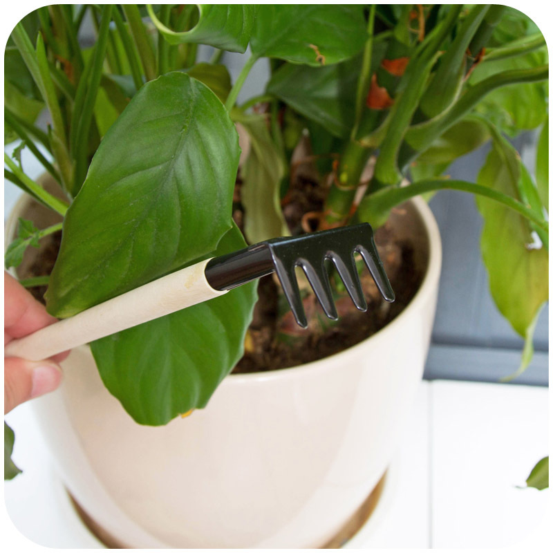 3pcs/lot Stainless Steel Plant Rake Shovel Soil Raising Flowers Wooden Handle Garden Plant Care Mini Portable Gardening Tools