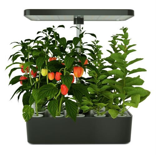 Grewenhouse hydroponic system and aquarium hydroponics Manufacturers and Grewenhouse hydroponic system and aquarium hydroponics Suppliers