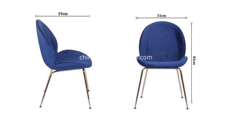 Size of Beetle Chair