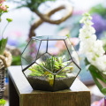 NCYP Modern Glass Terrarium Flower Pot Gold Geometric Terrarium Bonsai Flower Pots Plant Planter Desktop Display Flowerpot