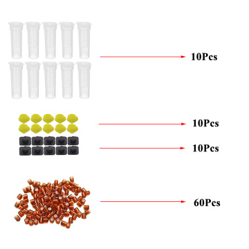 Bee rearing kit complete system new bee queen cages cell box plastic accessories apiculture beekeeper protection cover supplies