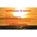 Mainland Neimenggu Sea Freight to Italy Naples