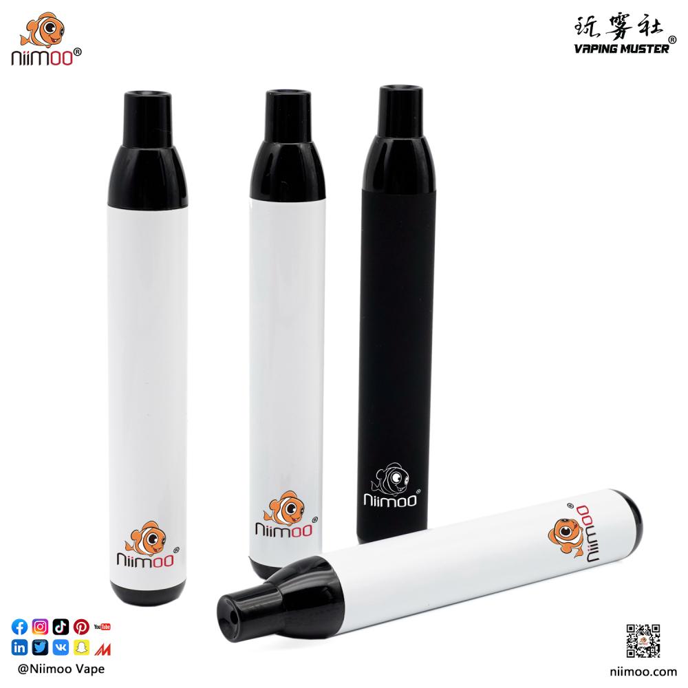 Disposable Vape Elfbar