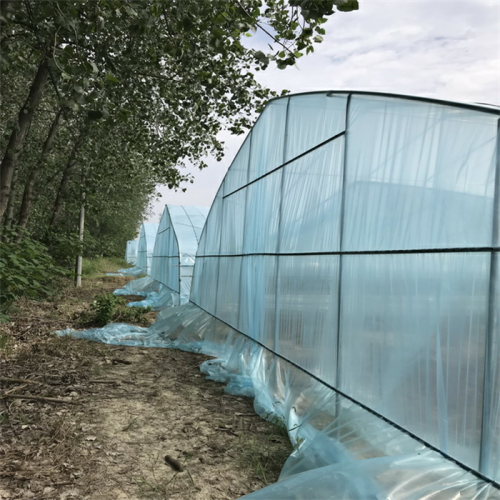 Economic PE Film Hot sale tunnel greenhouse Manufacturers and Economic PE Film Hot sale tunnel greenhouse Suppliers