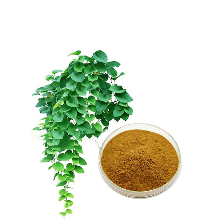 Ivy Extract Jpg