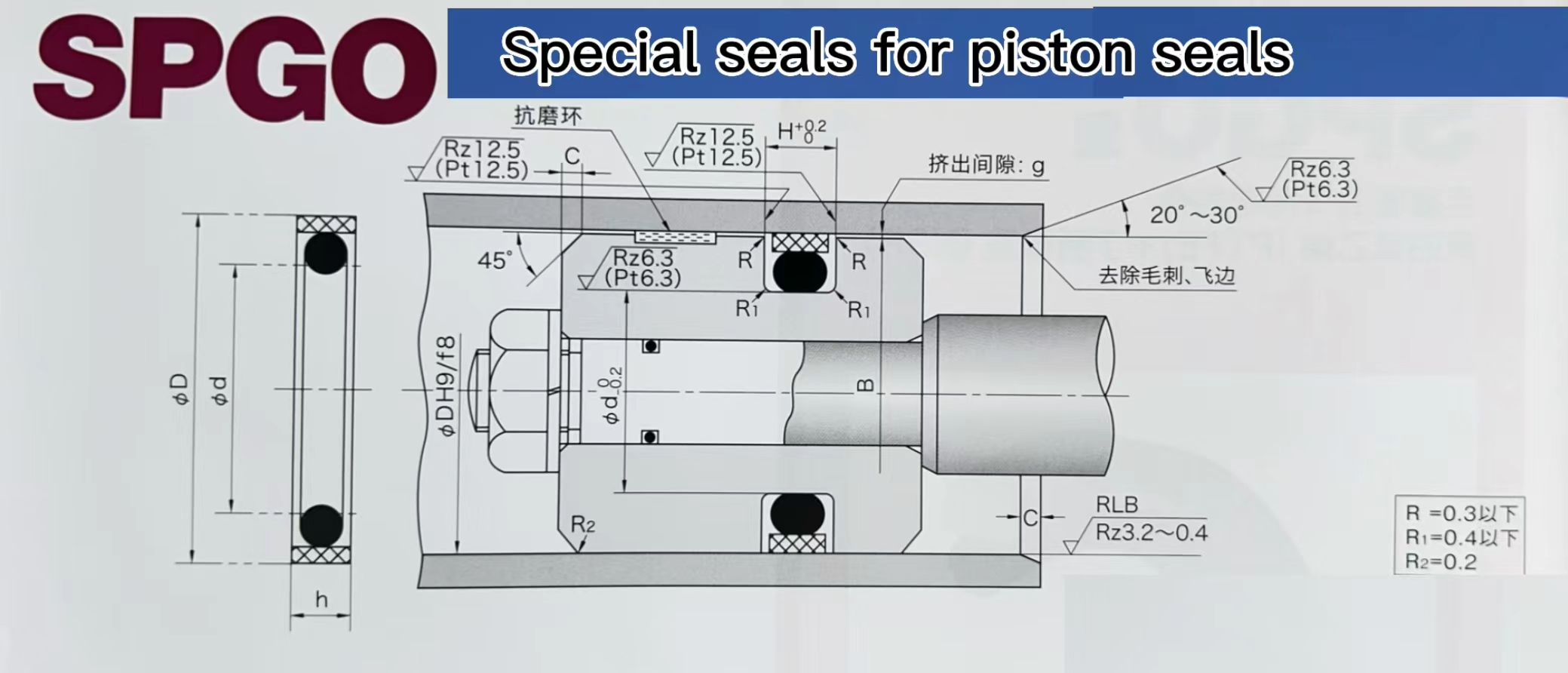 Special seal for piston seal02