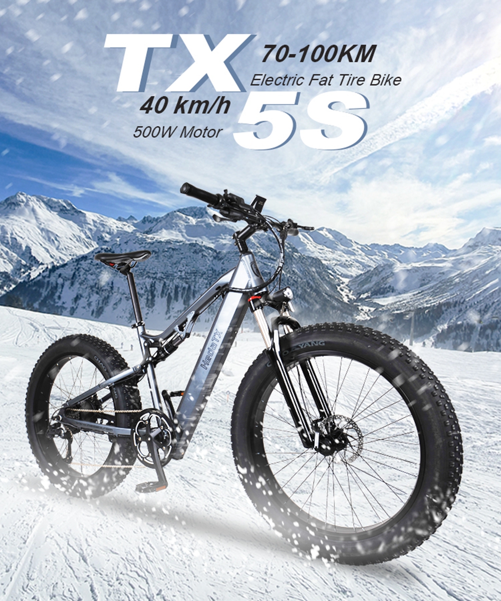 Low Carbon Electric Fat Tire Bike