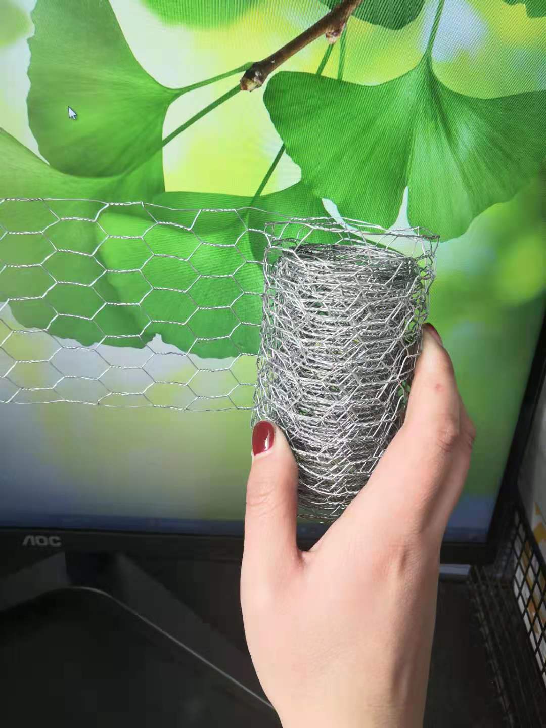 Hexagonal wire netting
