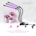 Fengrise LED Grow Light USB Phyto Lamp Full Spectrum Fitolampy With Control For Plants Seedlings Flower Indoor Fitolamp Grow Box