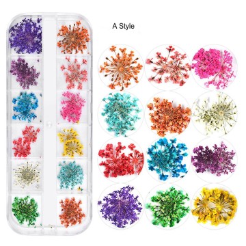 1 Box Dried Flowers for Nail Art, 12 Colors Dry Flowers Mini Real Natural Flowers Nail Art Supplies 3D Nail Decoration Stickers