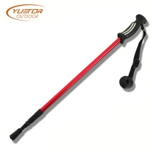 best inexpensive trekking pole